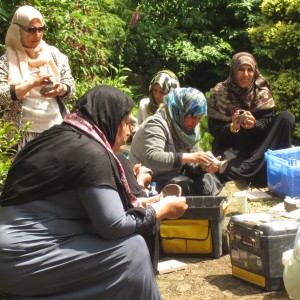 Group Asian Women doing environmental pottery 