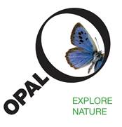 OPAL Air Tree survey logo