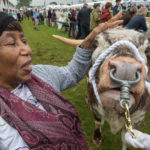 Una Curtis, 77 yr old, came to the UK in 1963 from Jamaica, where her family kept chicken, a goat, a pig and a donkey.  Pictured at the GYS 2019 with Longhorn "Sunflower".