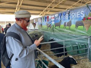 JMG man taking pictures of the livestock
